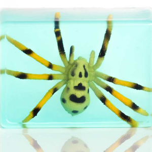 Spider Kids Critter Soap.