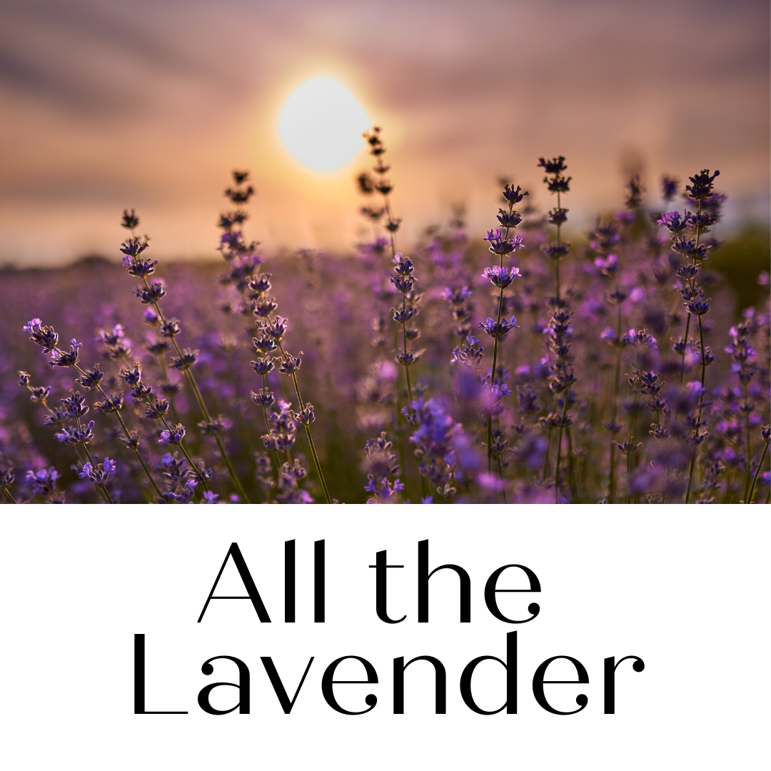All the Lavenders!