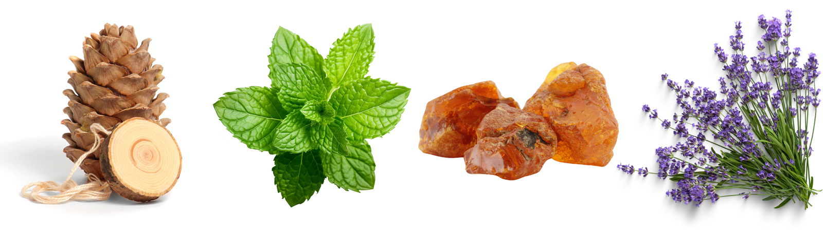 Herbal Scents