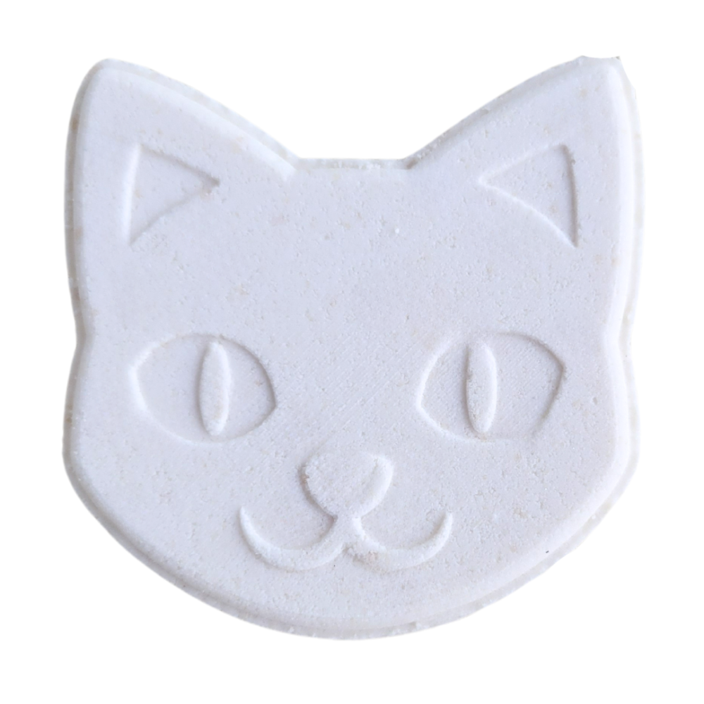 Paint Your Own Bath Fizzy Kit