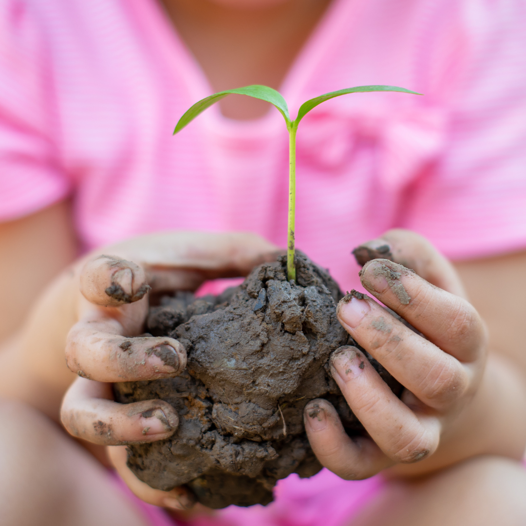Gardener Shea Luxury Soap Bar