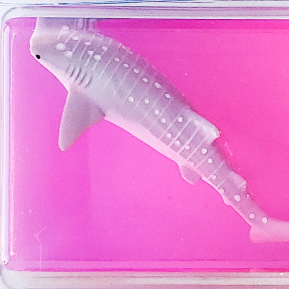 3D Shark Ice Mold