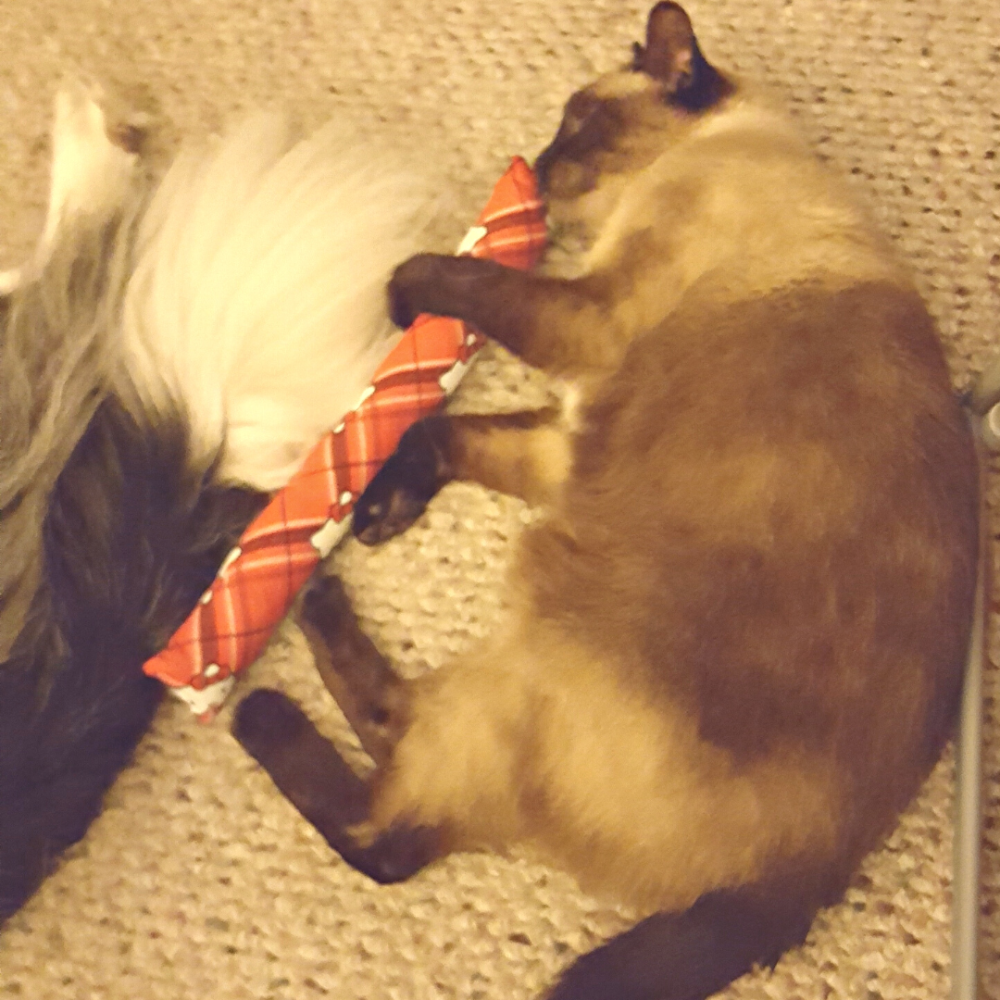 Happy Kitty Catnip Cat Treats